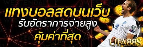 แทงบอล 3bly